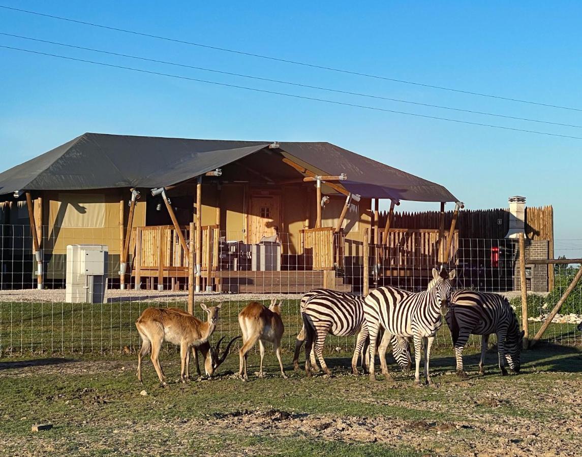 Kuanza Farmhouse And Lodge Замбужейра-ду-Мар Экстерьер фото